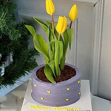 Anneler Günü Pastası (Saksıda Sarı Lale Pasta)