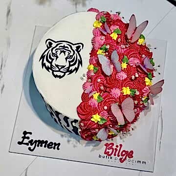 İkiz Çocuk Pastası